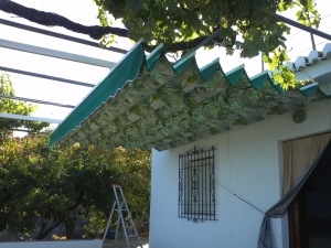 Toldo plano verde